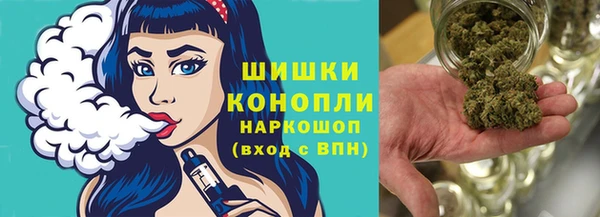 ПСИЛОЦИБИНОВЫЕ ГРИБЫ Абаза