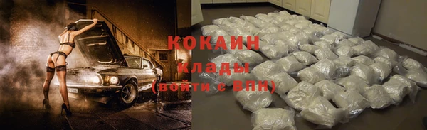 ПСИЛОЦИБИНОВЫЕ ГРИБЫ Абаза