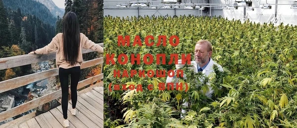 индика Абинск