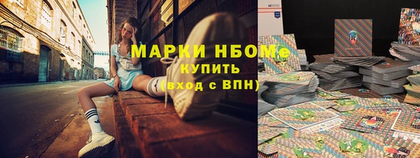 индика Абинск