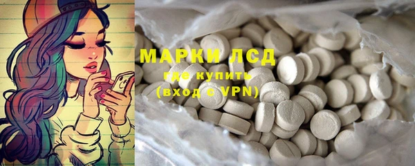 индика Абинск