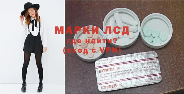 ПСИЛОЦИБИНОВЫЕ ГРИБЫ Абаза