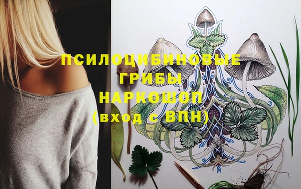 индика Абинск