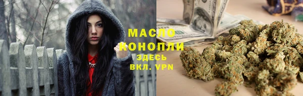 индика Абинск