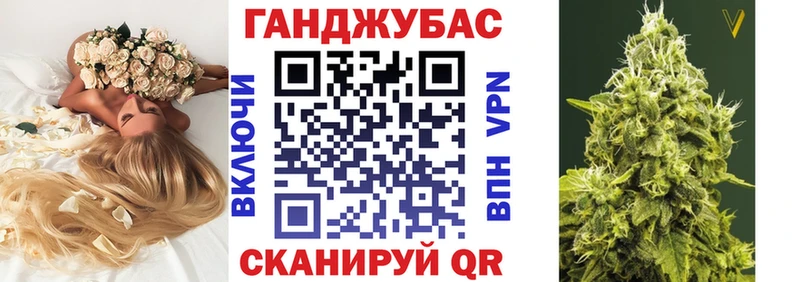 дарнет шоп  OMG   Марихуана ГИДРОПОН  Грозный 